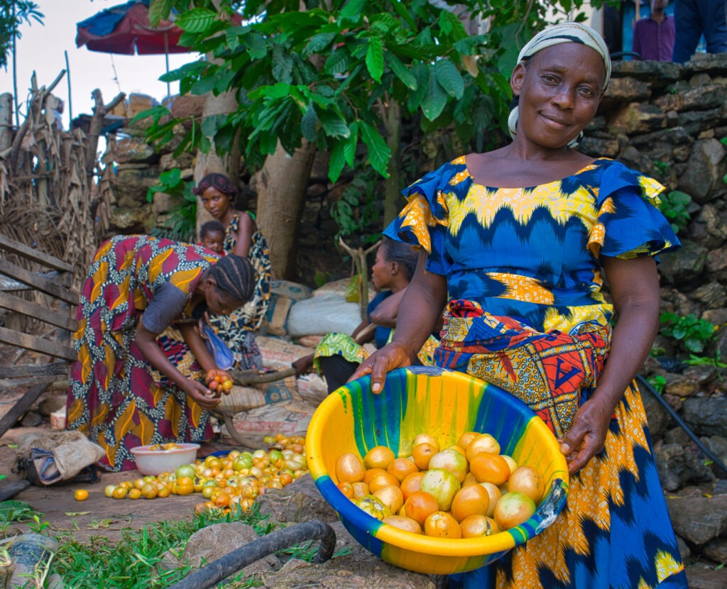 Article : Des diamants aux denrées : Le choix de l’agriculture contre l’insécurité alimentaire en RDC