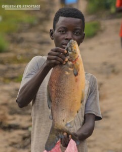 Article : Par-delà le Kasaï : l’immersion du Reporter dans le Kwilu et les gros poissons frais de ses régions