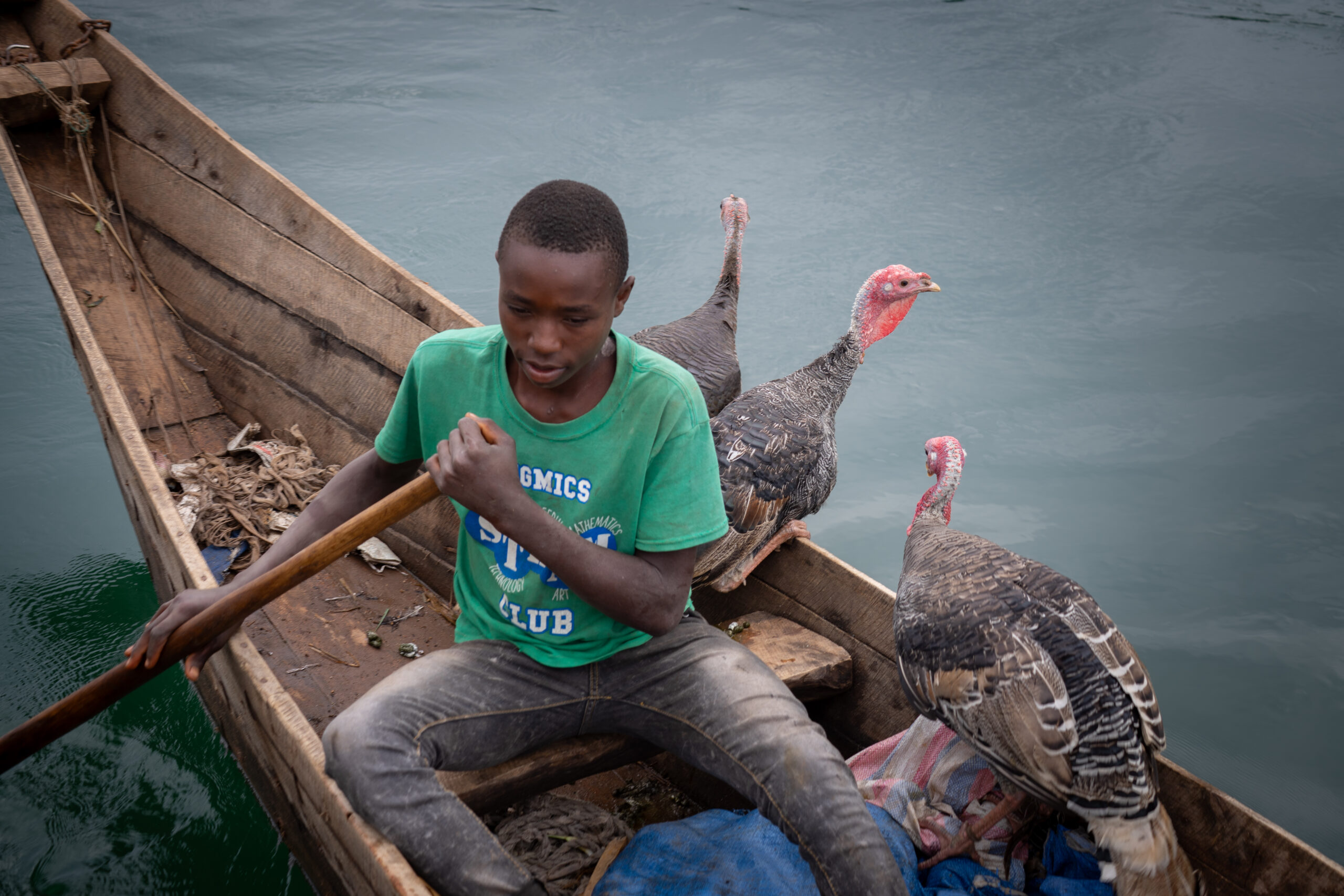 Un adolescent avec des dindes sur une pirogue sur le lac Kivu